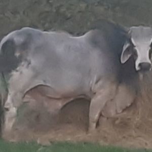 Meet your Posher, Craig